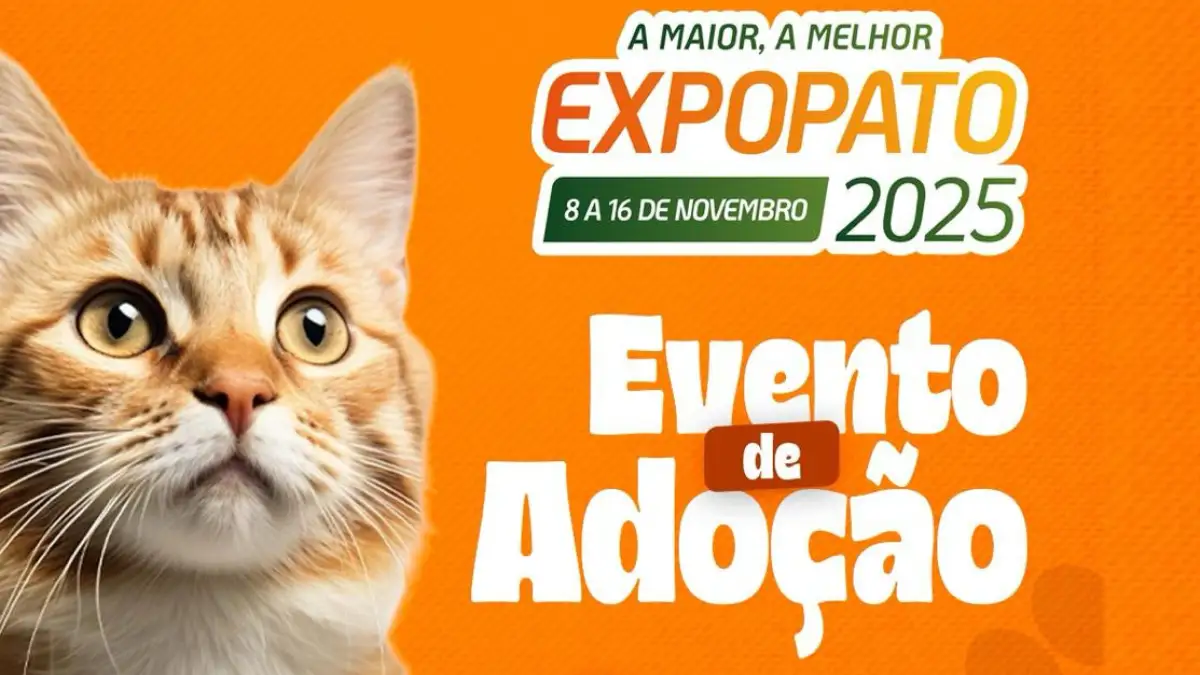 Últimas Notícias adoção expopato