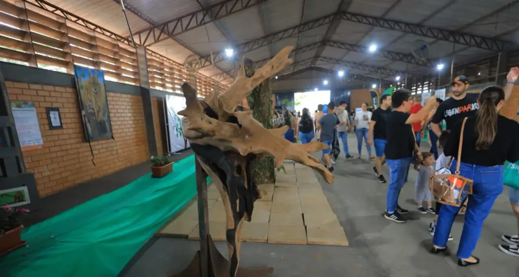 Artistas locais expõem obras sobre meio ambiente na Expopato artistas locais