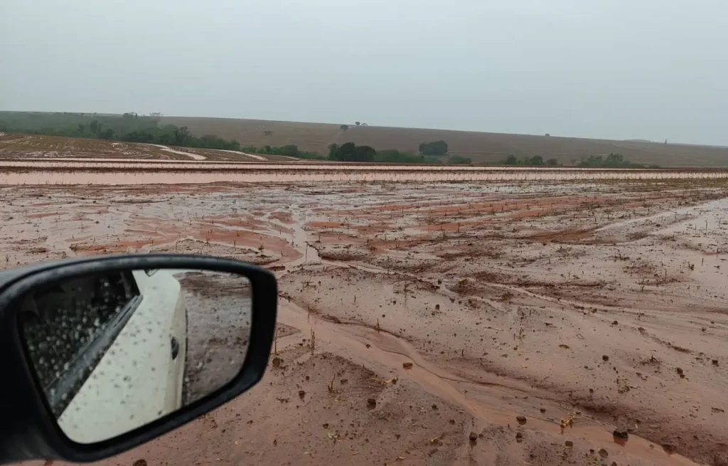 Temporais e granizo causam prejuízos na agropecuária estragos chuva 02