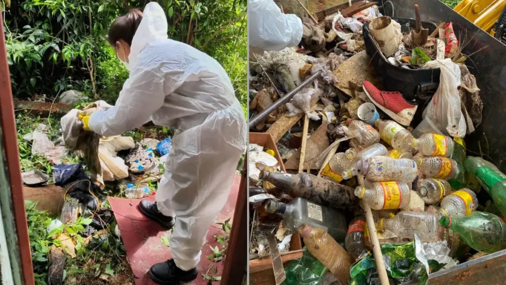 criadouros aedes aegypti