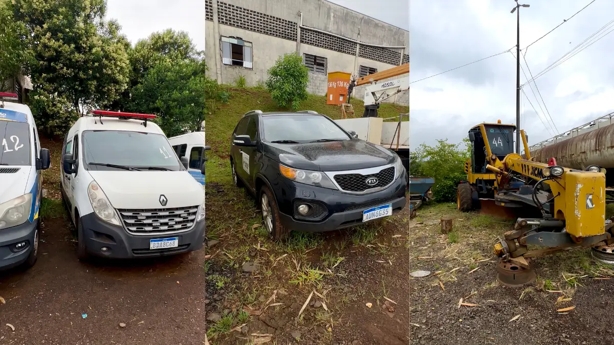 Últimas Notícias leilão francisco beltrão