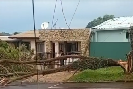 captura de tela 2026 01 03 163456