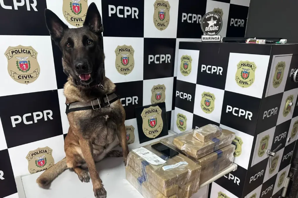 k9 apreensão drogas