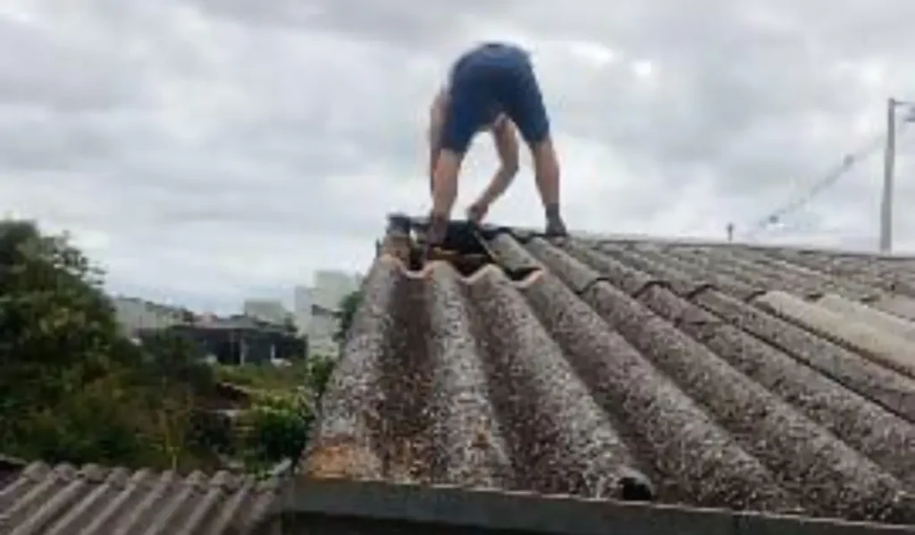 telhado casa pato branco