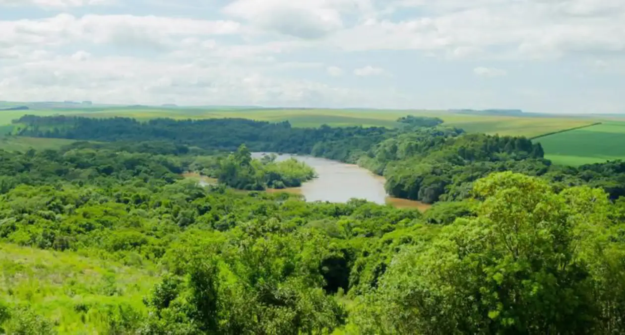 mata atlântica lavoura