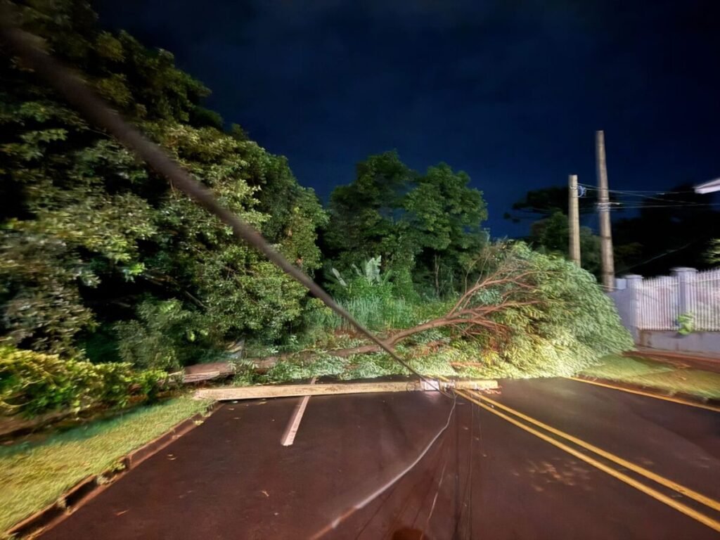 Temporal atinge Pato Branco e causa estragos whatsapp image 2026 02 17 at 22.33.39