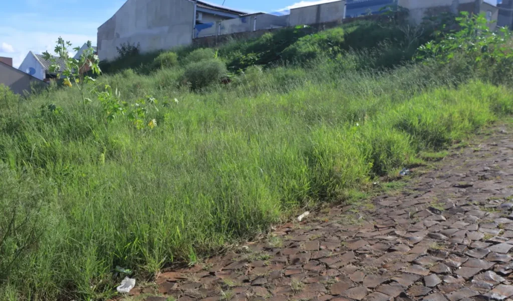 Pato Branco notifica donos de terrenos sujos terreno baldio