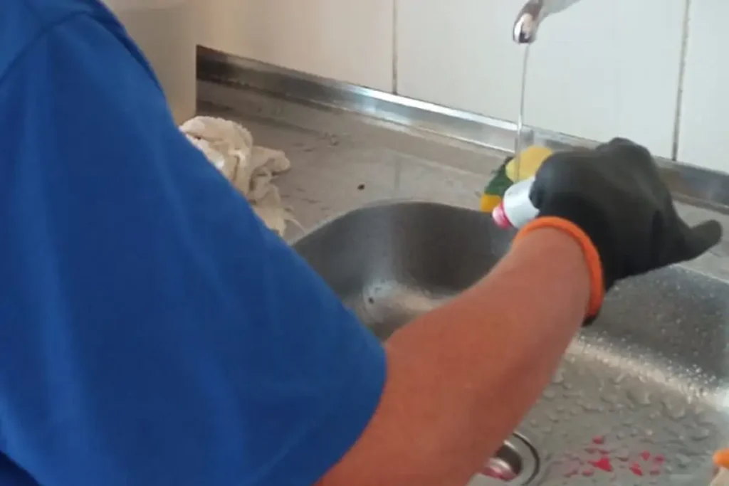 vistoria fco beltrao