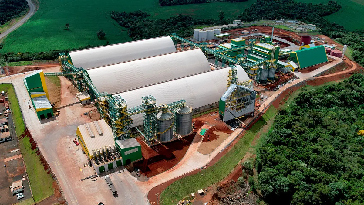 Cooperativa Tradição