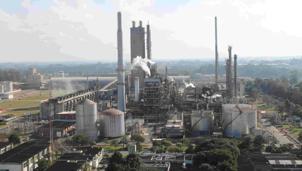 araucária nitrogenados