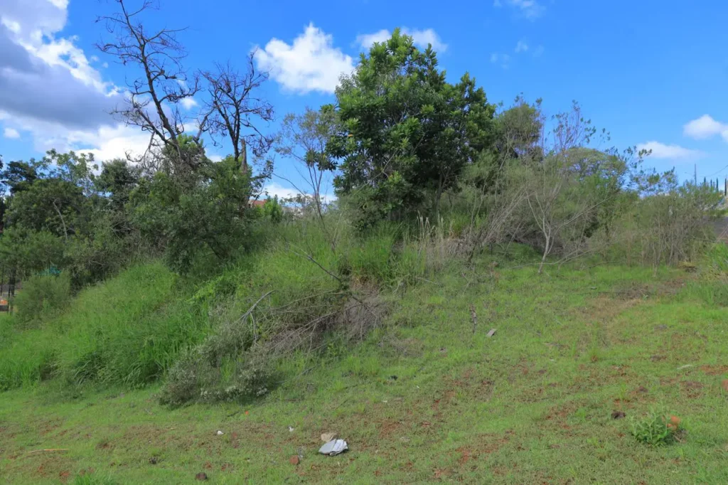 limpeza terrenos pato branco