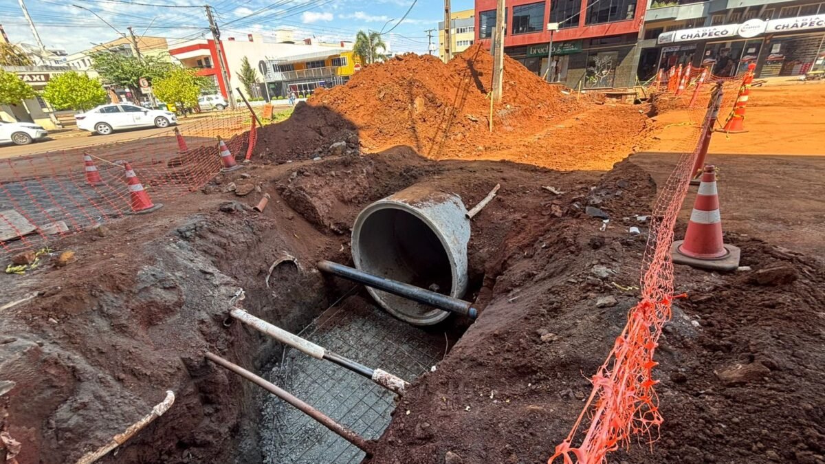 obras coronel vivida