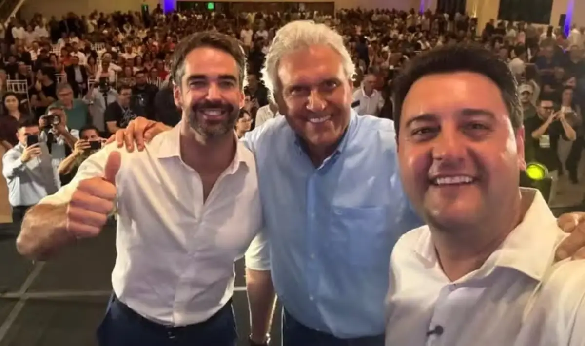 ratinho caiado leite