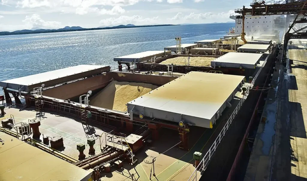 soja exportação