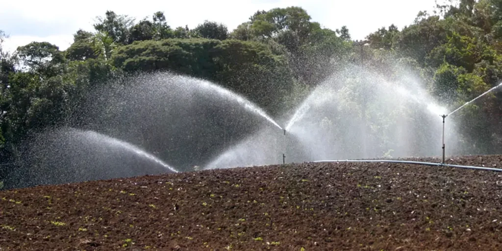 irrigação