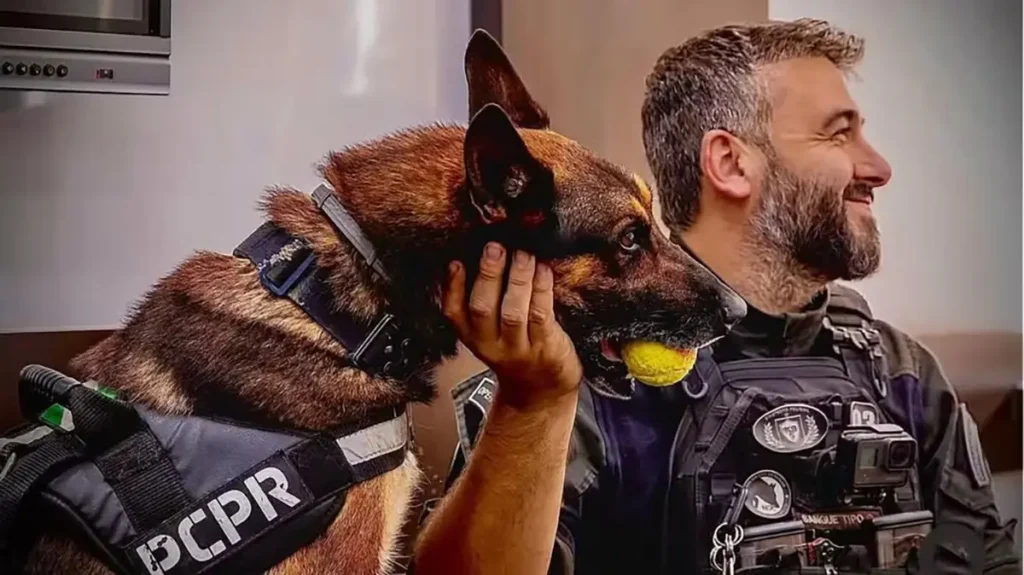 Raio e juliano riboli