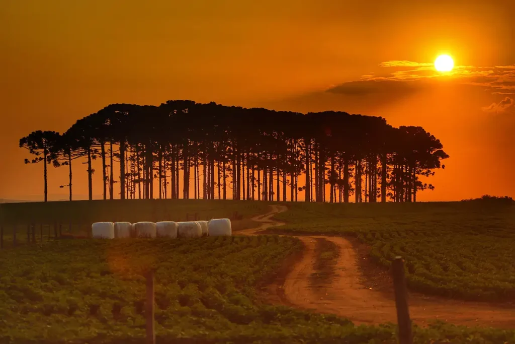 pôr do sol laranja
