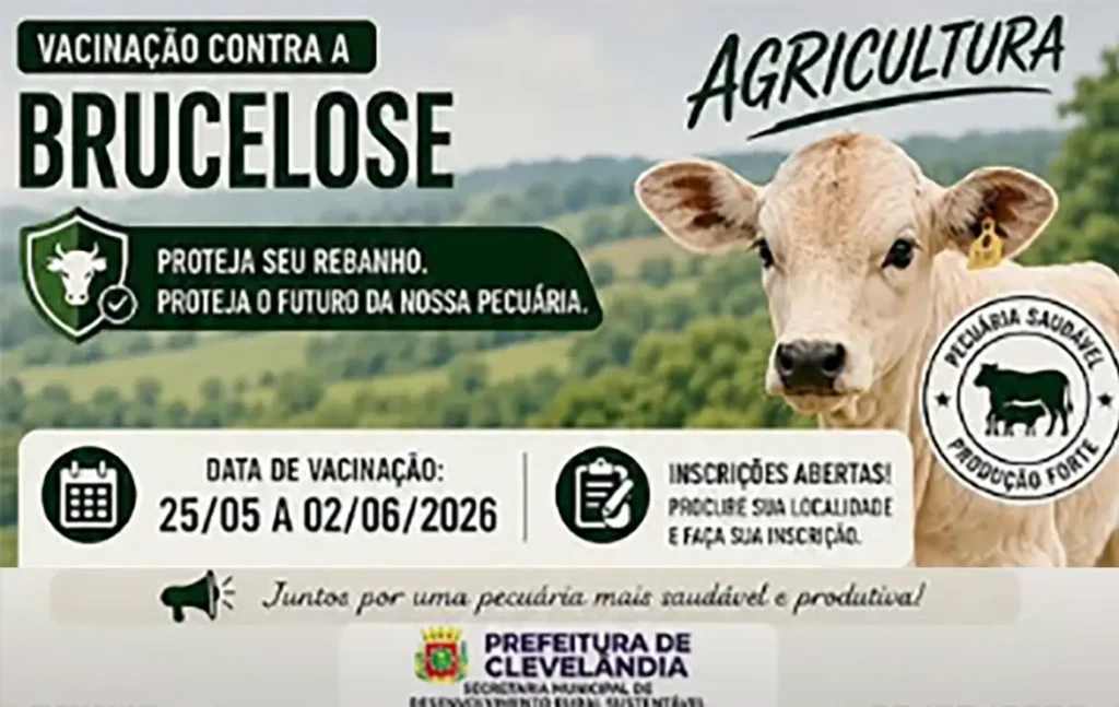 clevelândia brucelose