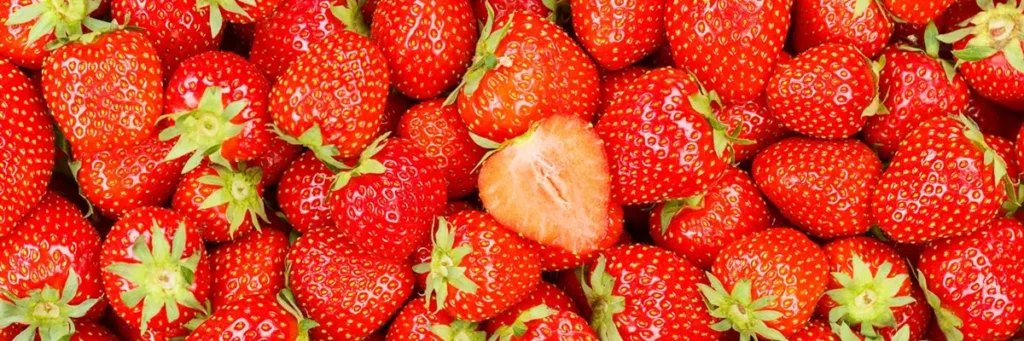 morango