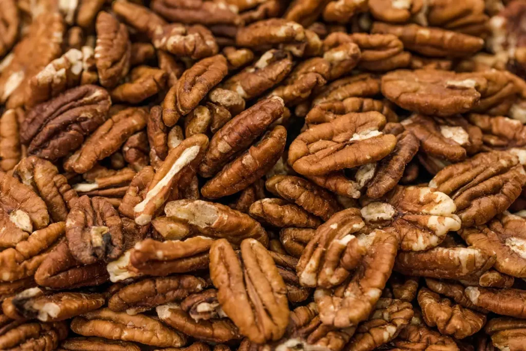 noz pecan