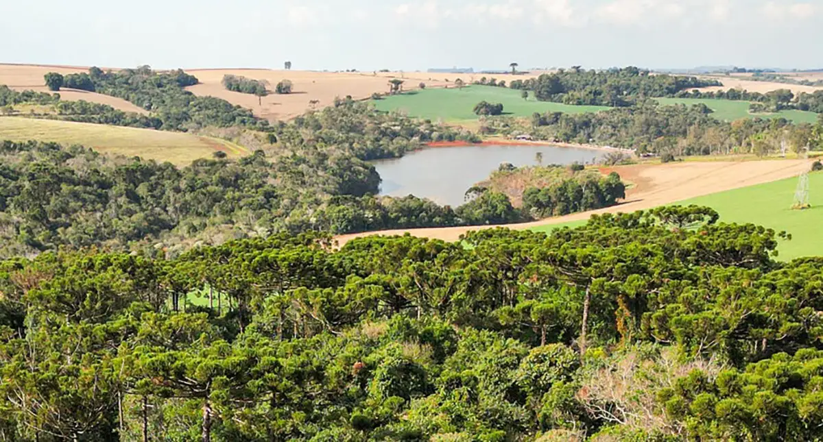 paisagem lavoura eaarea de mata