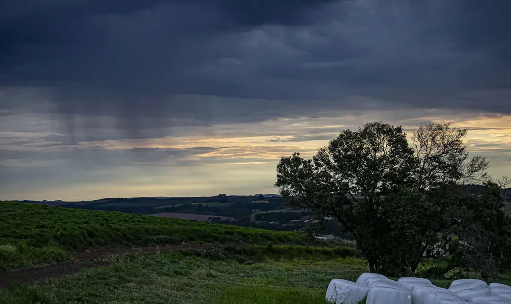 chuva campo