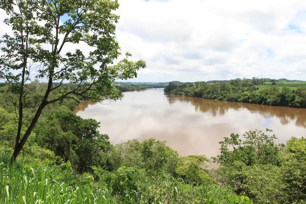 mata ciliar rio