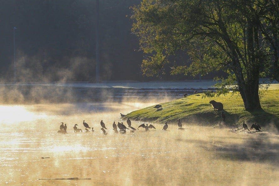 Paraná registra mínima de -2,8°C neste domingo