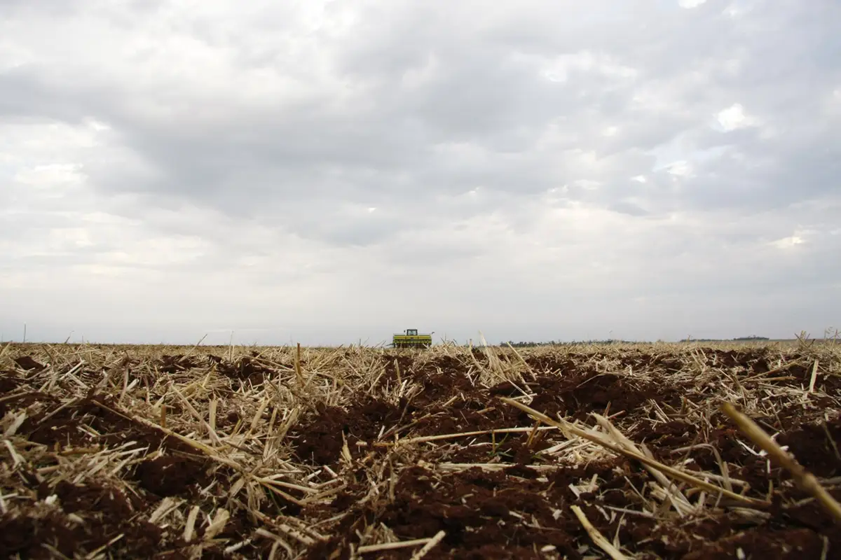 Sistema FAEP promove série de Dias de Campo sobre solo