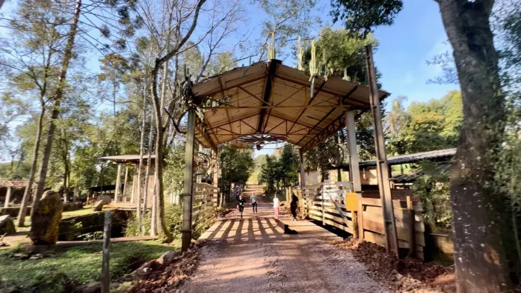 ponte linha hobold beltrão