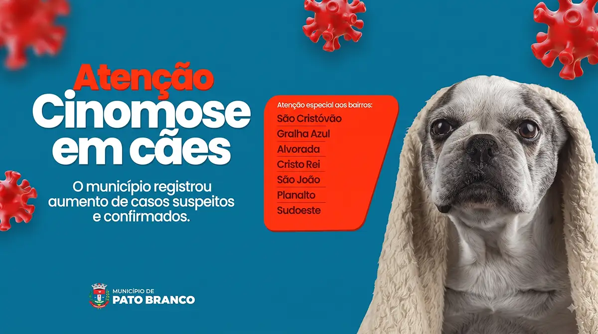 Pato Branco alerta para aumento de casos de cinomose