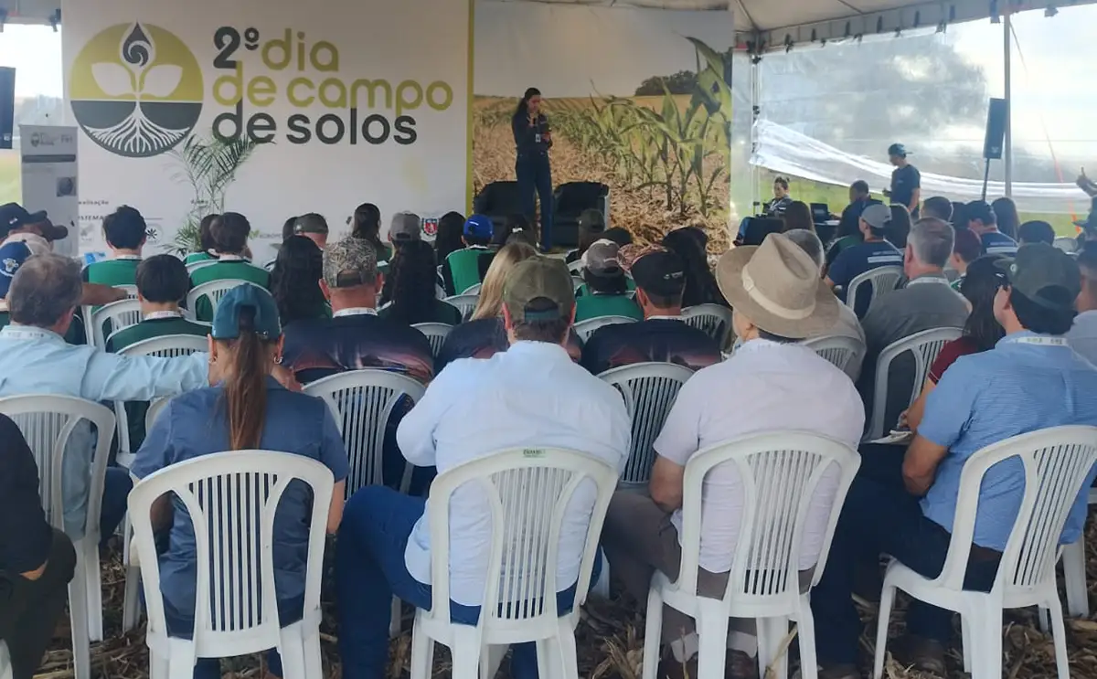 Dia de Campo em Toledo alerta para perdas “invisíveis” de solo