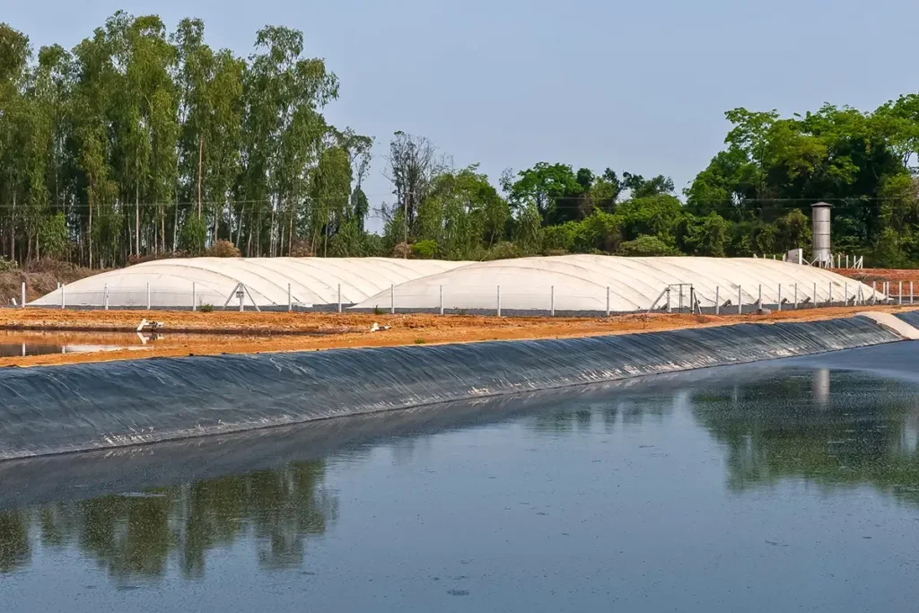 faep dia de campo energia