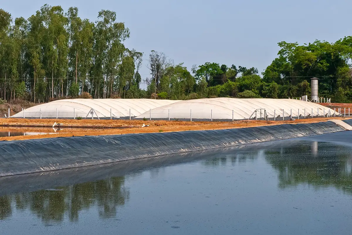 Dia de Campo mostra como dejetos viram energia limpa