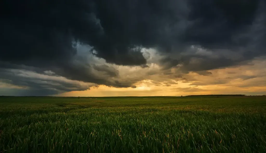 lavoura chuva