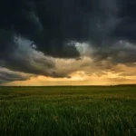 lavoura chuva