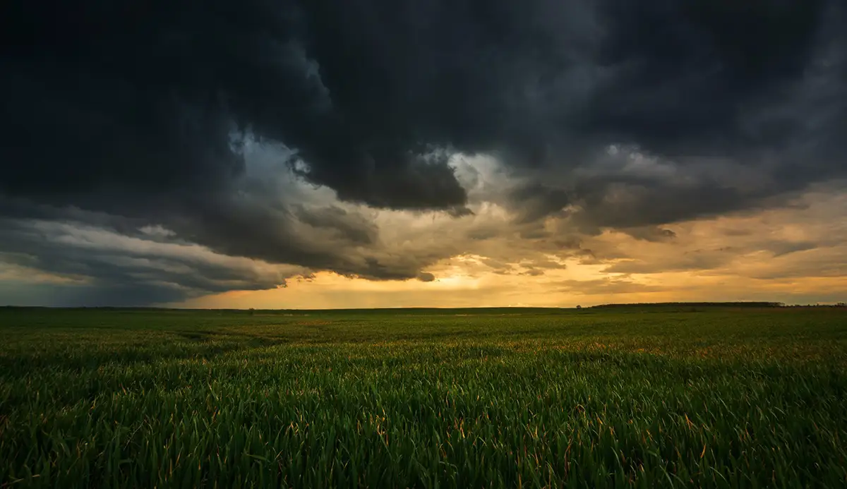 lavoura chuva