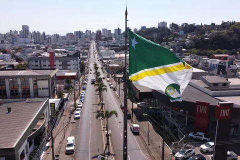 pato branco