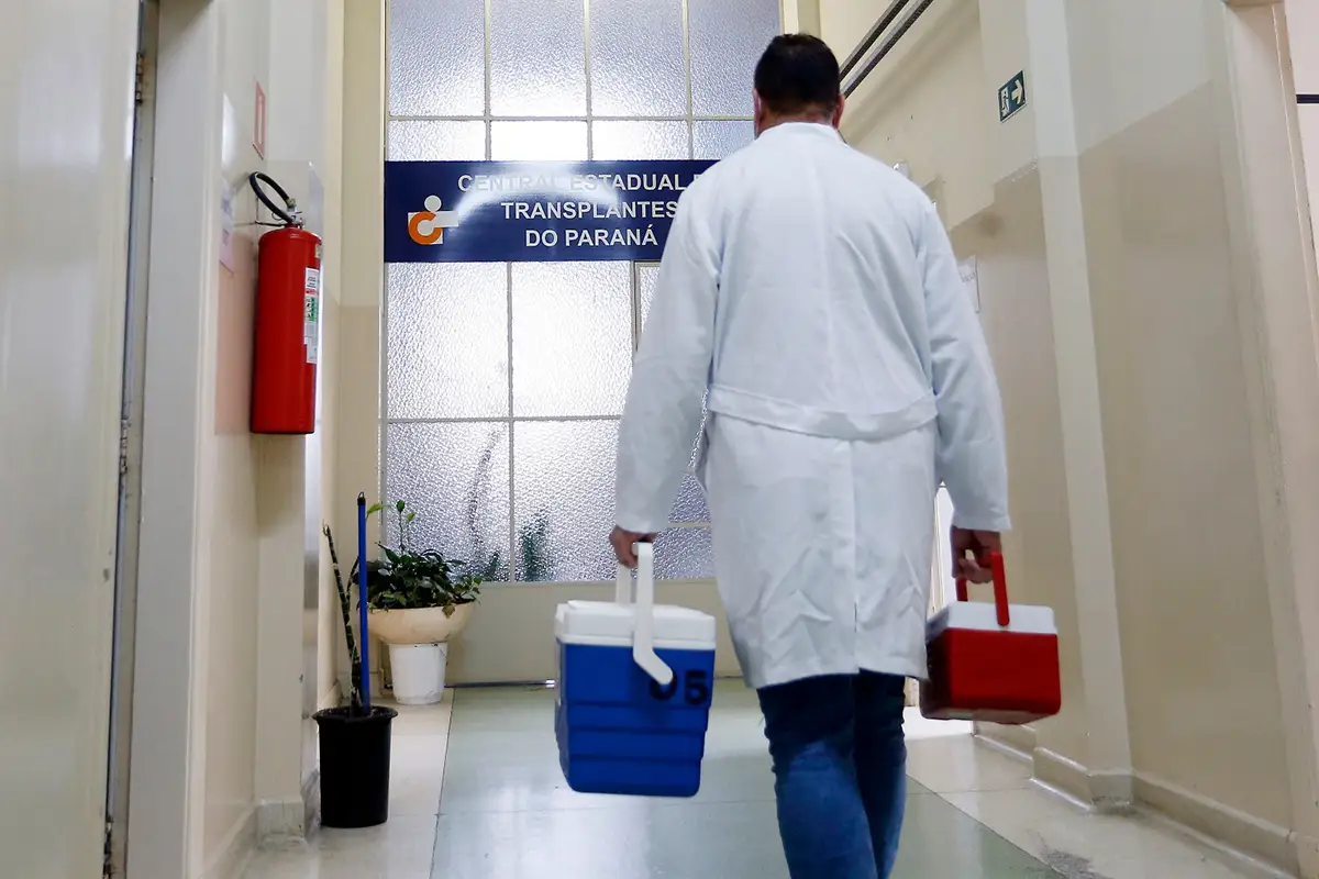 Missão aérea leva órgãos e beneficia nove pacientes