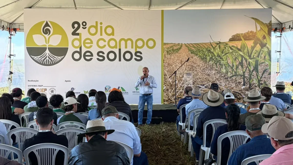 2º dia de campo de solos