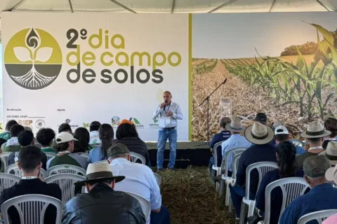 2º dia de campo de solos