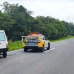 Polícia Militar prende suspeito de roubo de cargas no Litoral do Paraná com ajuda de inteligência artificial