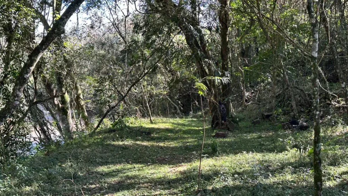 RPPN Morada dos Plátanos