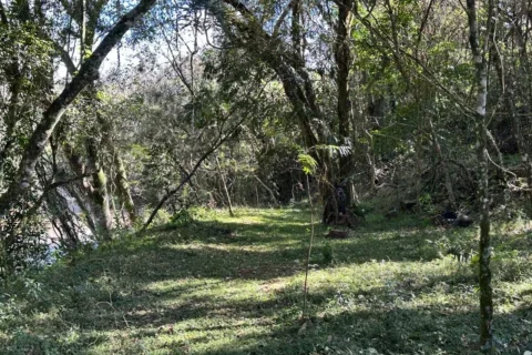 RPPN Morada dos Plátanos