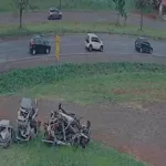 atropelamento
