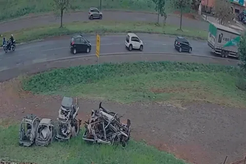 atropelamento