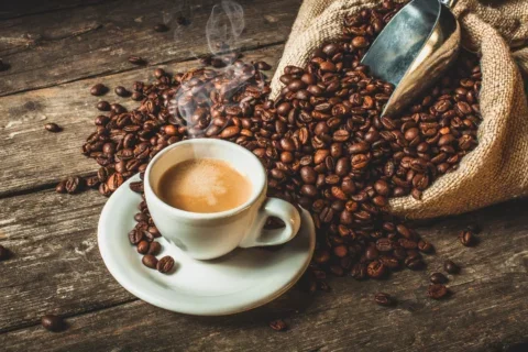 cafeicultor