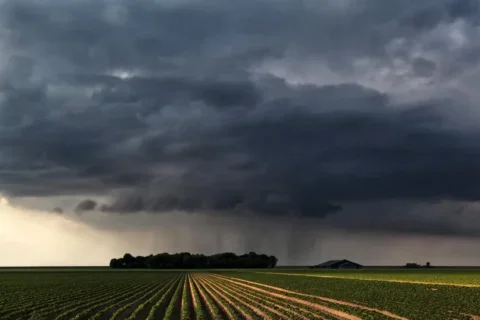 chuva lavoura
