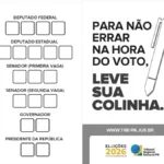 colinha votos