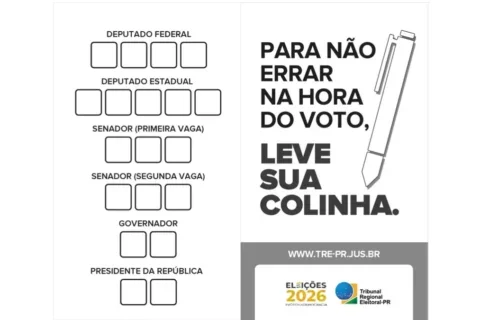 colinha votos